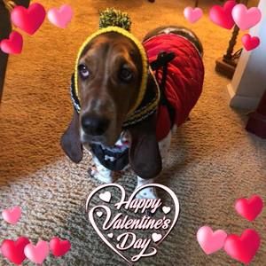 Meet your Posher, April